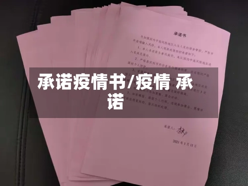 承诺疫情书/疫情 承诺