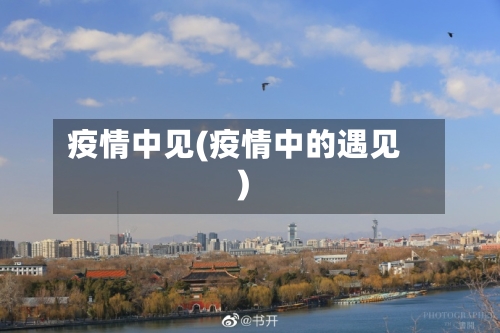 疫情中见(疫情中的遇见)