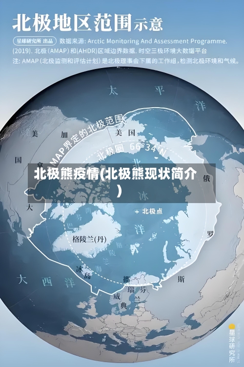 北极熊疫情(北极熊现状简介)