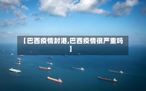 【巴西疫情封港,巴西疫情很严重吗】