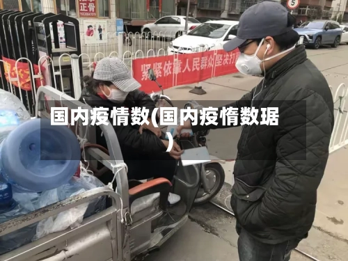 国内疫情数(国内疫惰数琚)