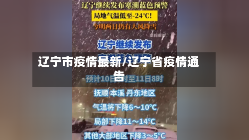 辽宁市疫情最新/辽宁省疫情通告