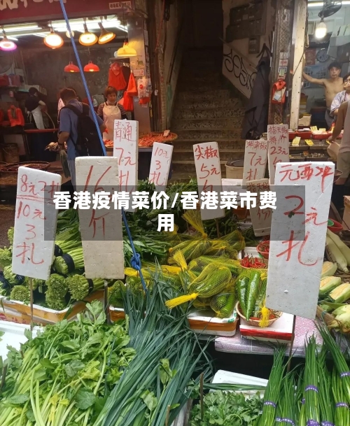 香港疫情菜价/香港菜市费用