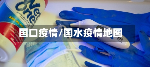 国口疫情/国水疫情地图