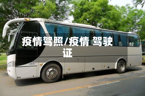 疫情驾照/疫情 驾驶证