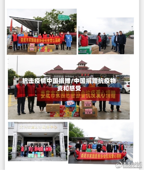 抗击疫情中国捐赠/中国捐赠抗疫物资和感受