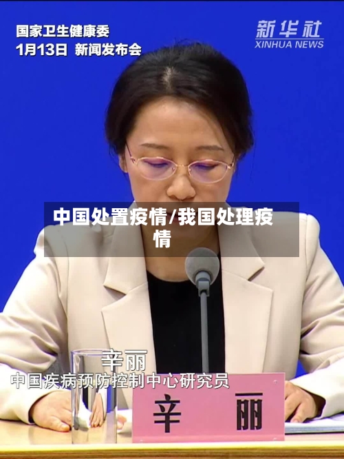 中国处置疫情/我国处理疫情