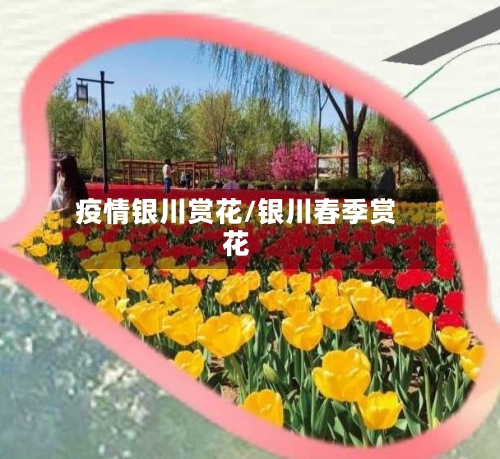 疫情银川赏花/银川春季赏花